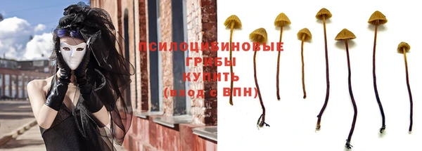 соль ск Алзамай