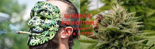 соль ск Алзамай