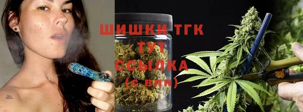 бошки Алексин