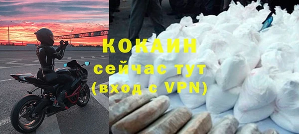 соль ск Алзамай