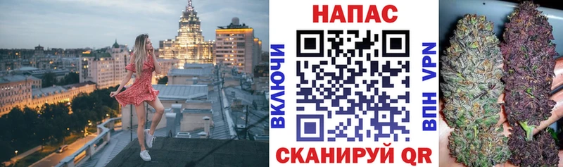 магазин продажи наркотиков  Кувшиново  МАРИХУАНА конопля 